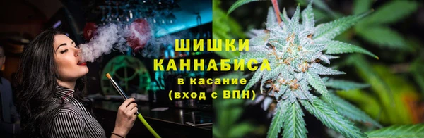 ГАЛЛЮЦИНОГЕННЫЕ ГРИБЫ Алзамай