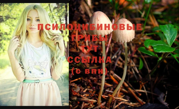 скорость Алексин