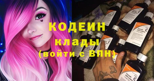 ГАЛЛЮЦИНОГЕННЫЕ ГРИБЫ Алзамай