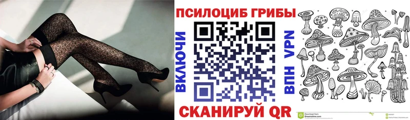 где продают   Сим  Галлюциногенные грибы MAGIC MUSHROOMS 